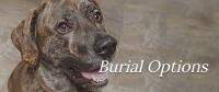 Faithful Pets Cremation and Burial Care image 18